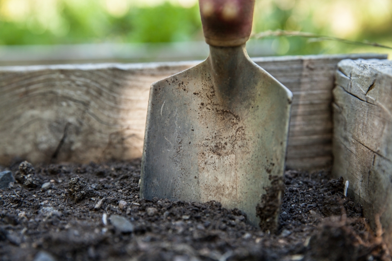 jardinerie-TOURVES-min_garden-1176406